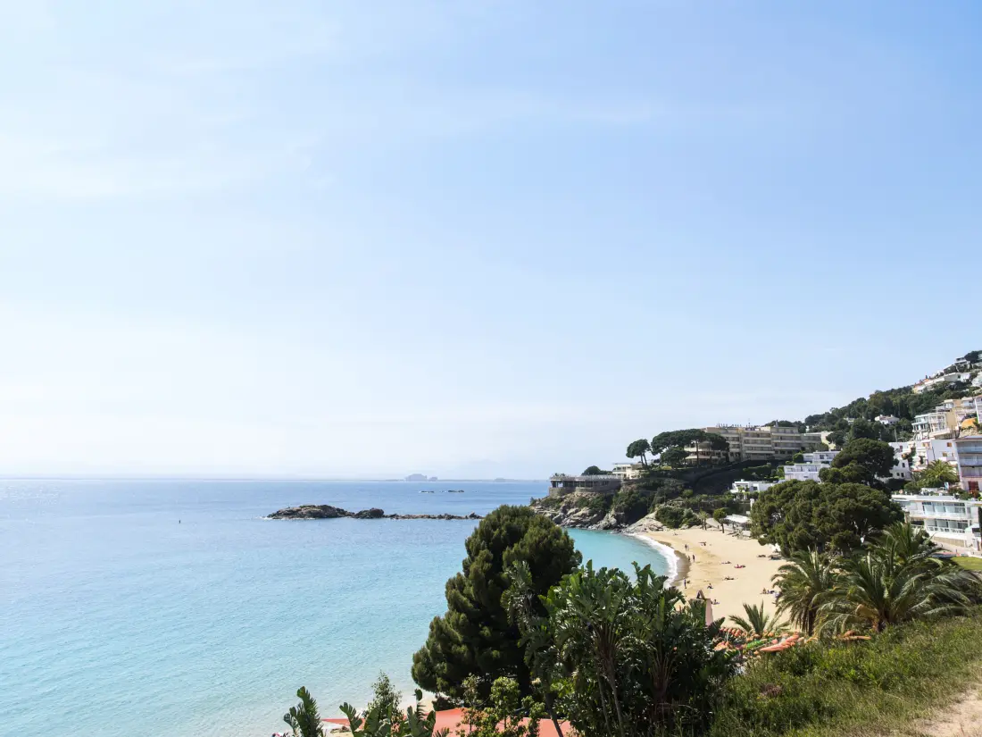 Location de Vacances Roses 1348