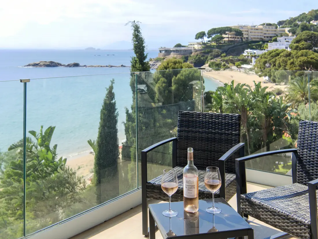 Location de Vacances Roses 1348