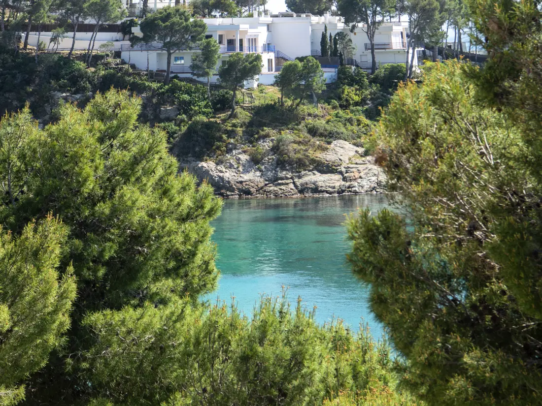 Location de Vacances Roses 1348