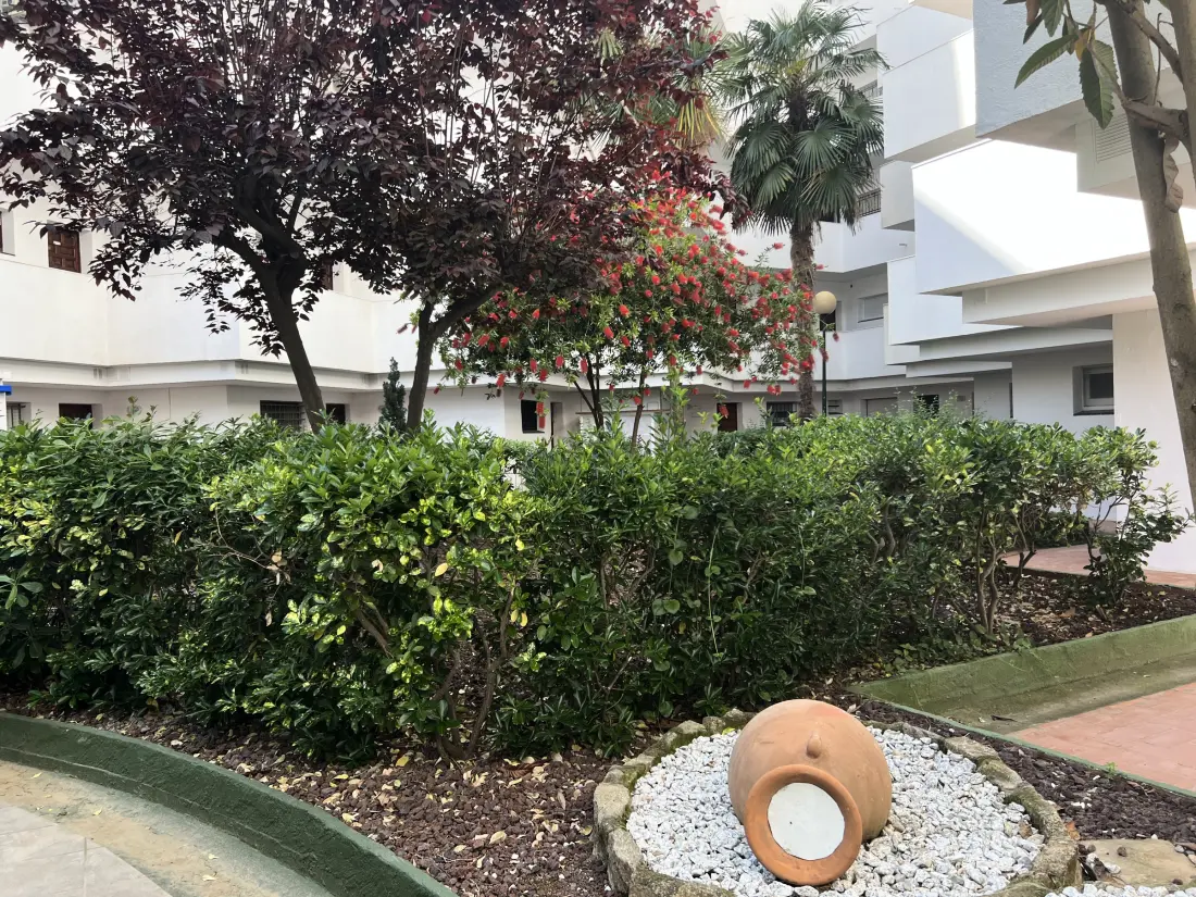 Location de Vacances Roses 1349