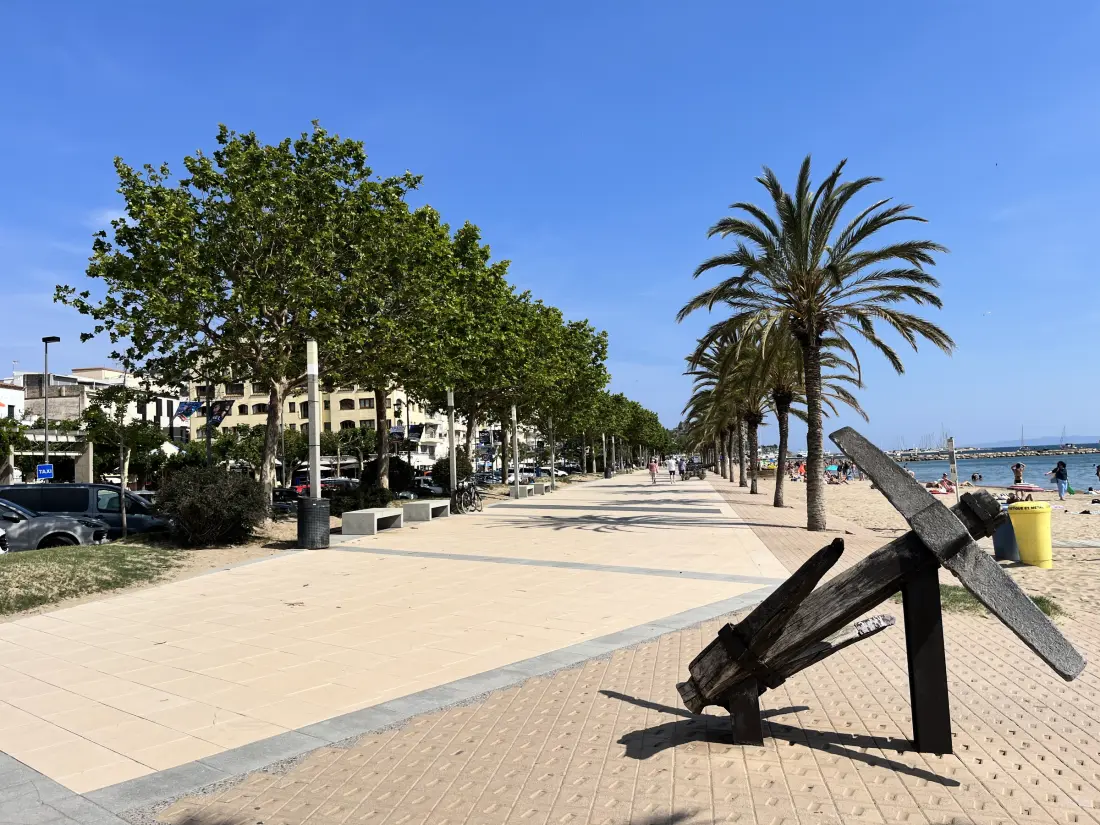 Location de Vacances Roses 1349