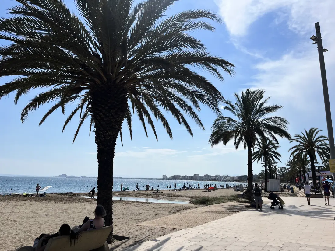 Location de Vacances Roses 1349