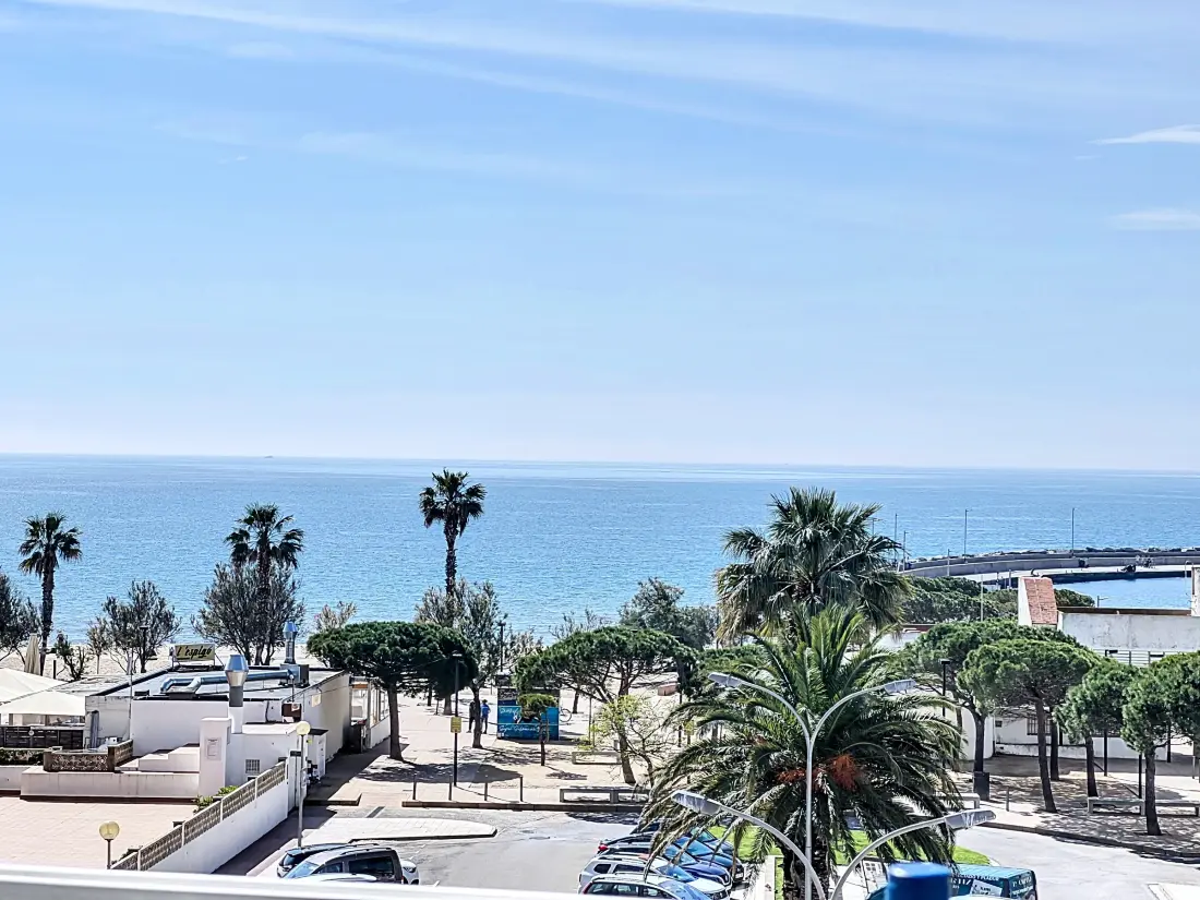 Location de Vacances Roses 1349
