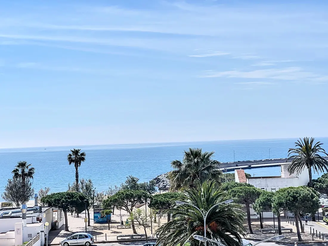 Location de Vacances Roses 1349