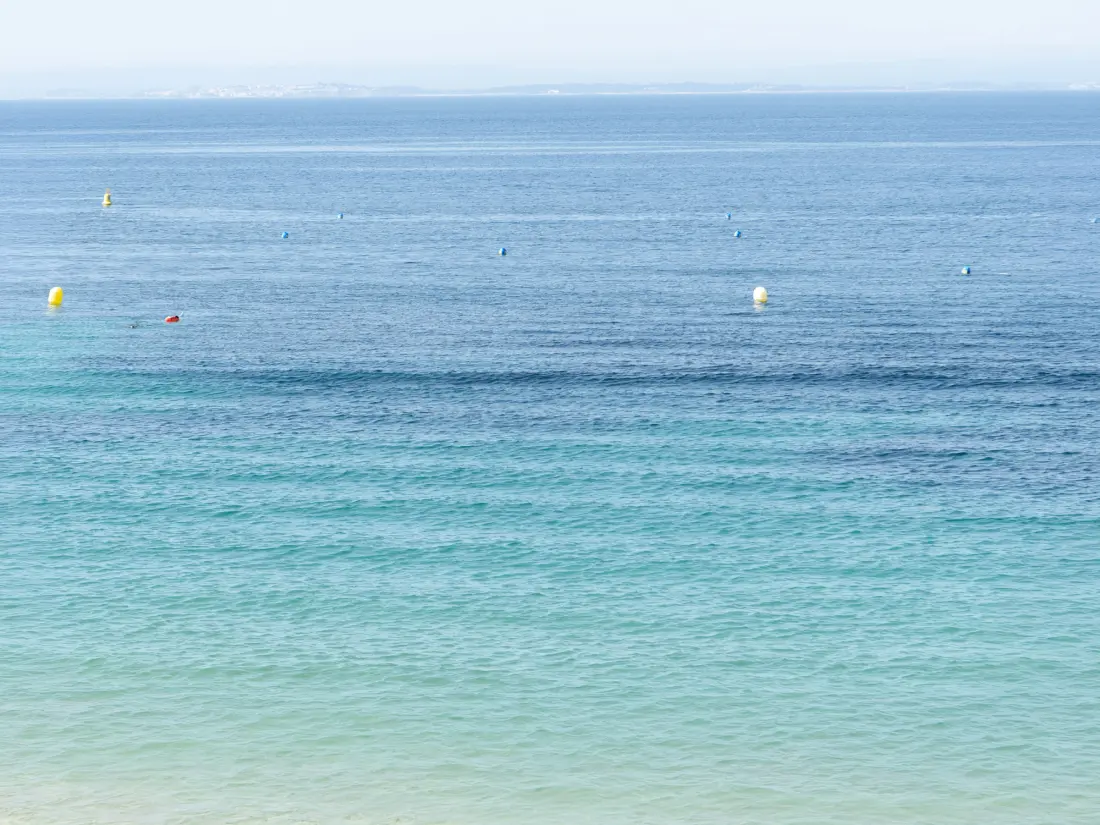 Location de Vacances Roses 1362