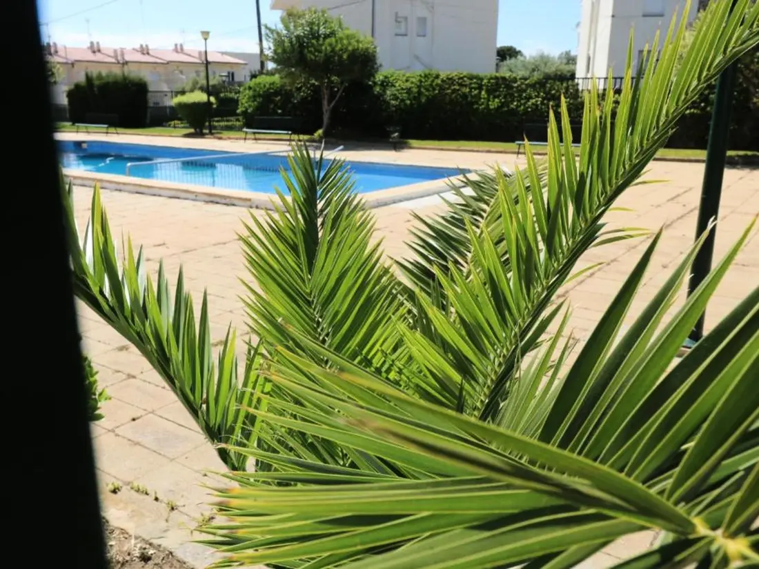Location de Vacances Roses 1364