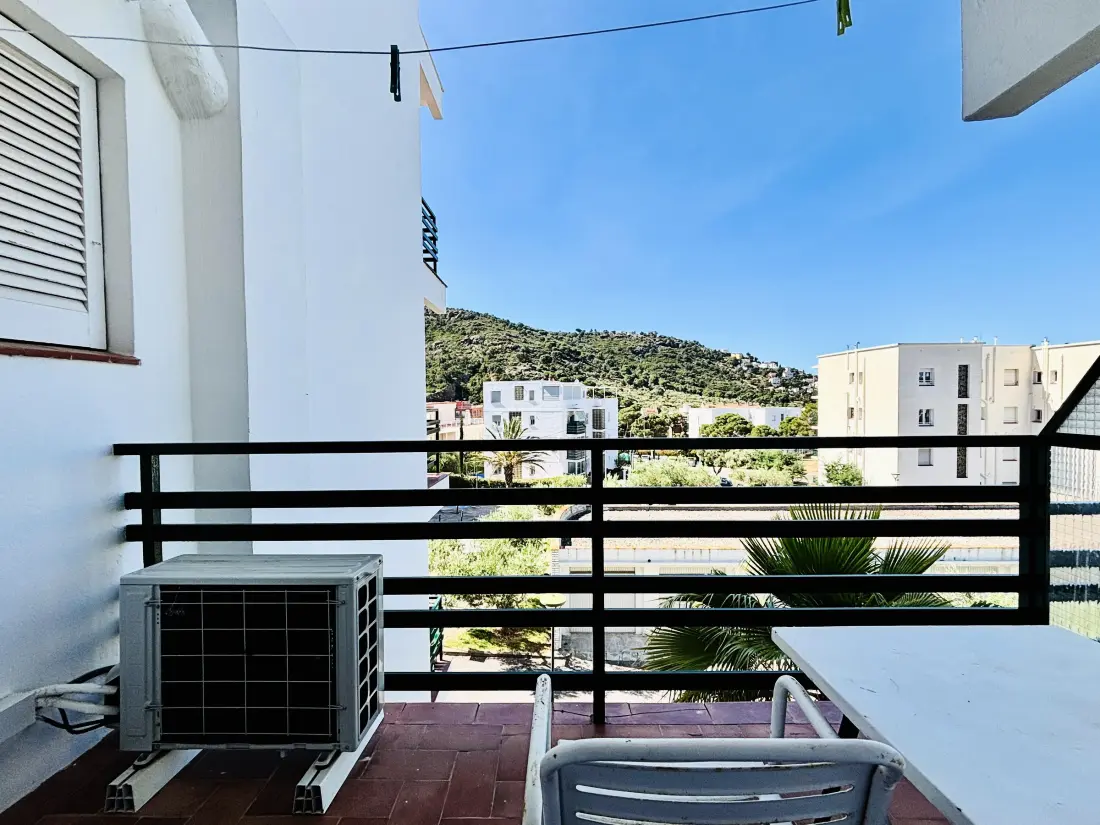 Location de Vacances Roses 1364
