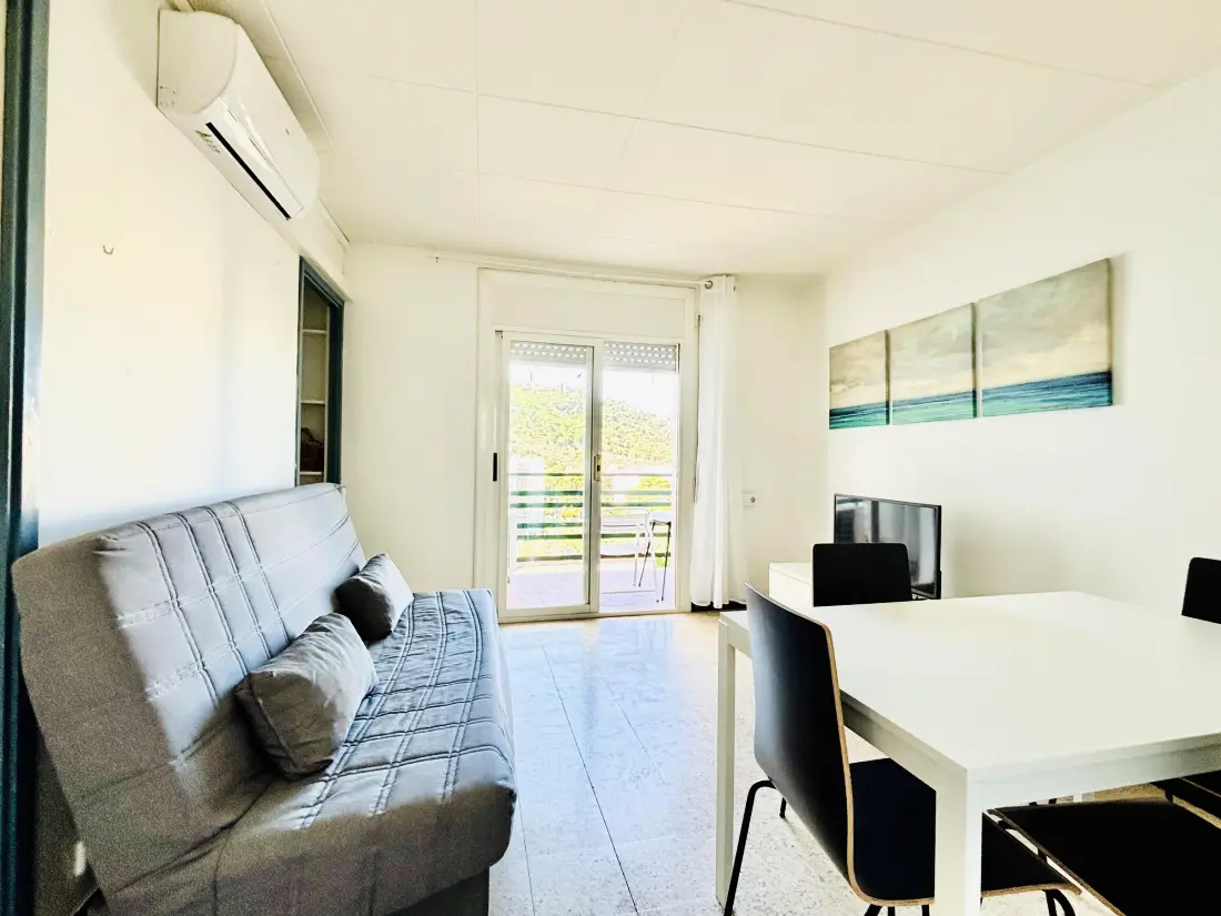 Location de Vacances Roses 1364