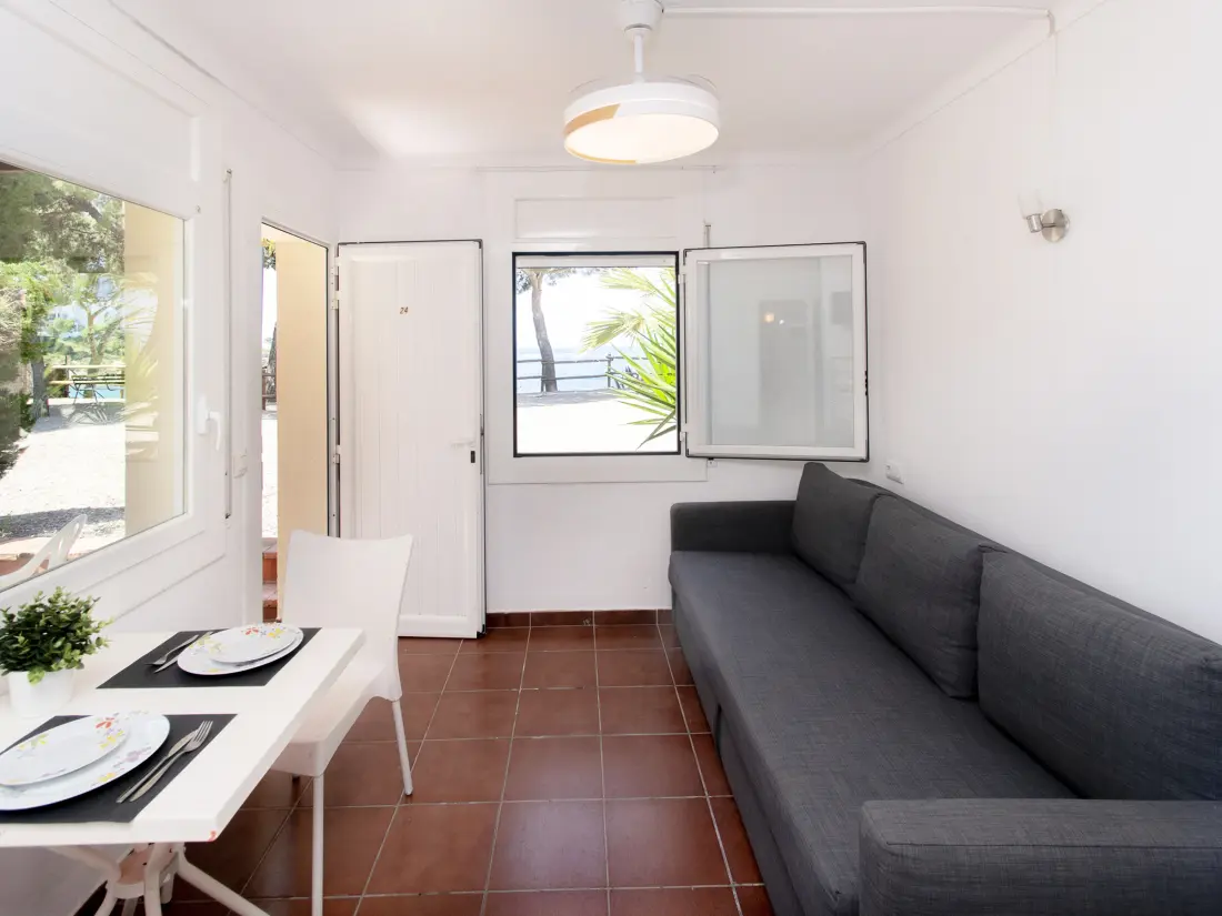 Location de Vacances Roses 1366