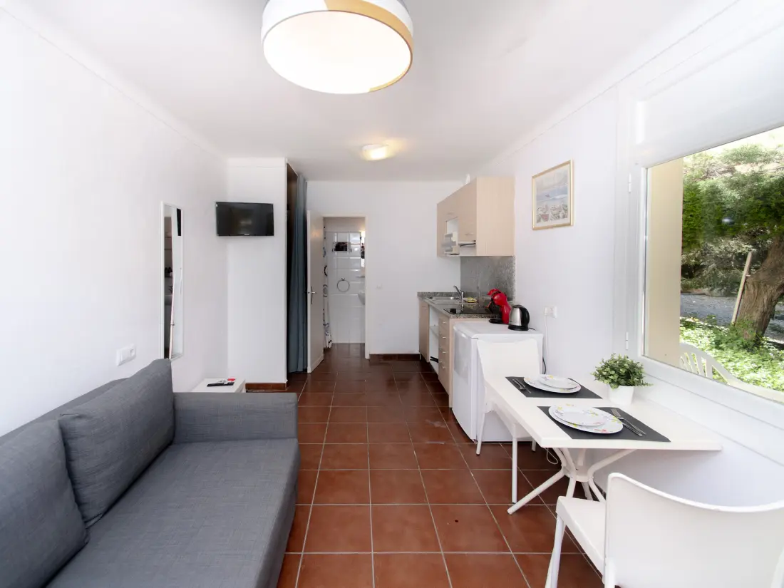 Location de Vacances Roses 1366