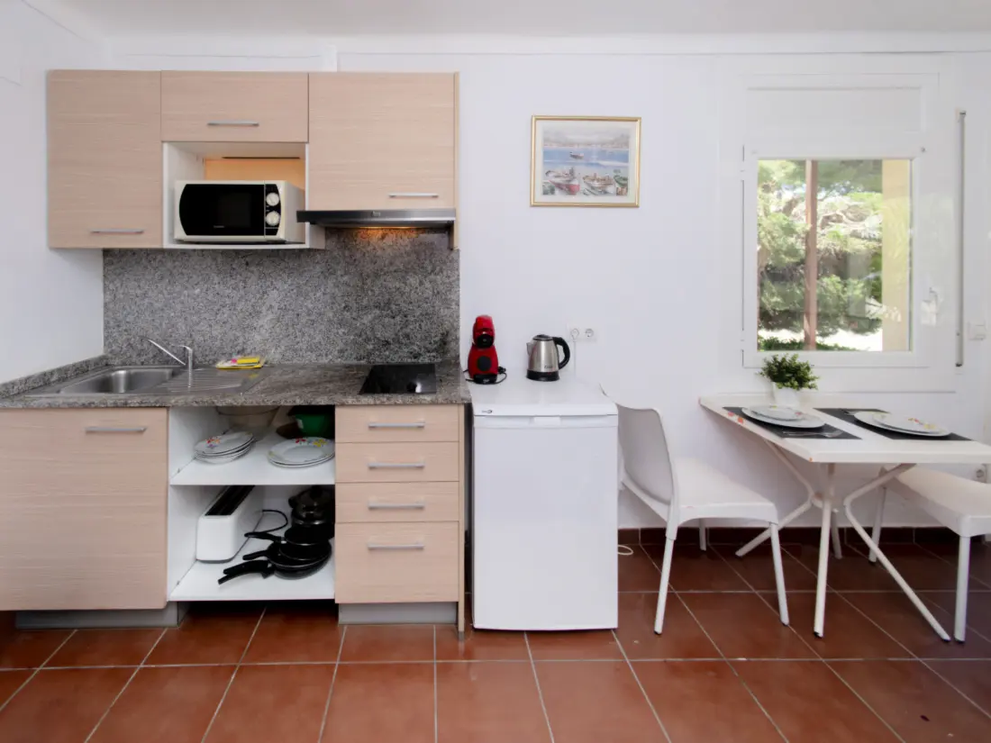 Location de Vacances Roses 1366