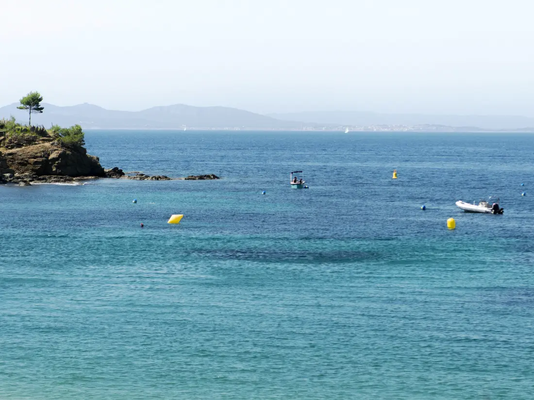 Location de Vacances Roses 1366