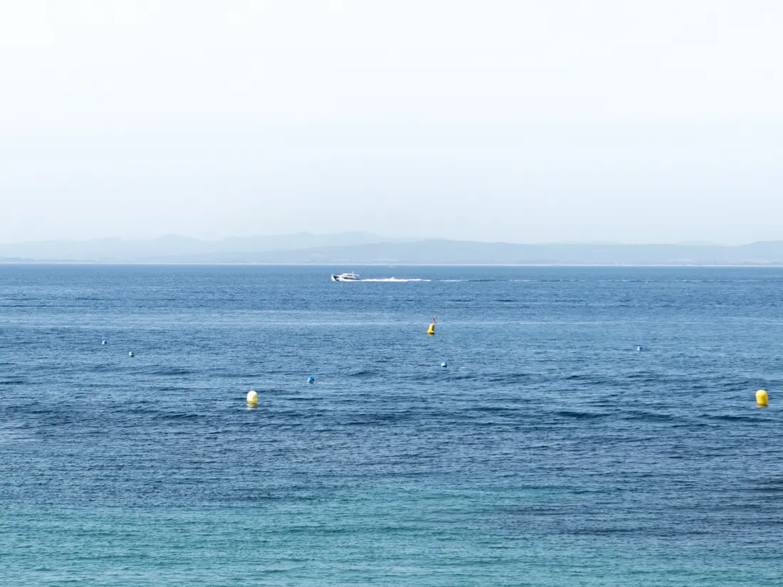 Location de Vacances Roses 1366