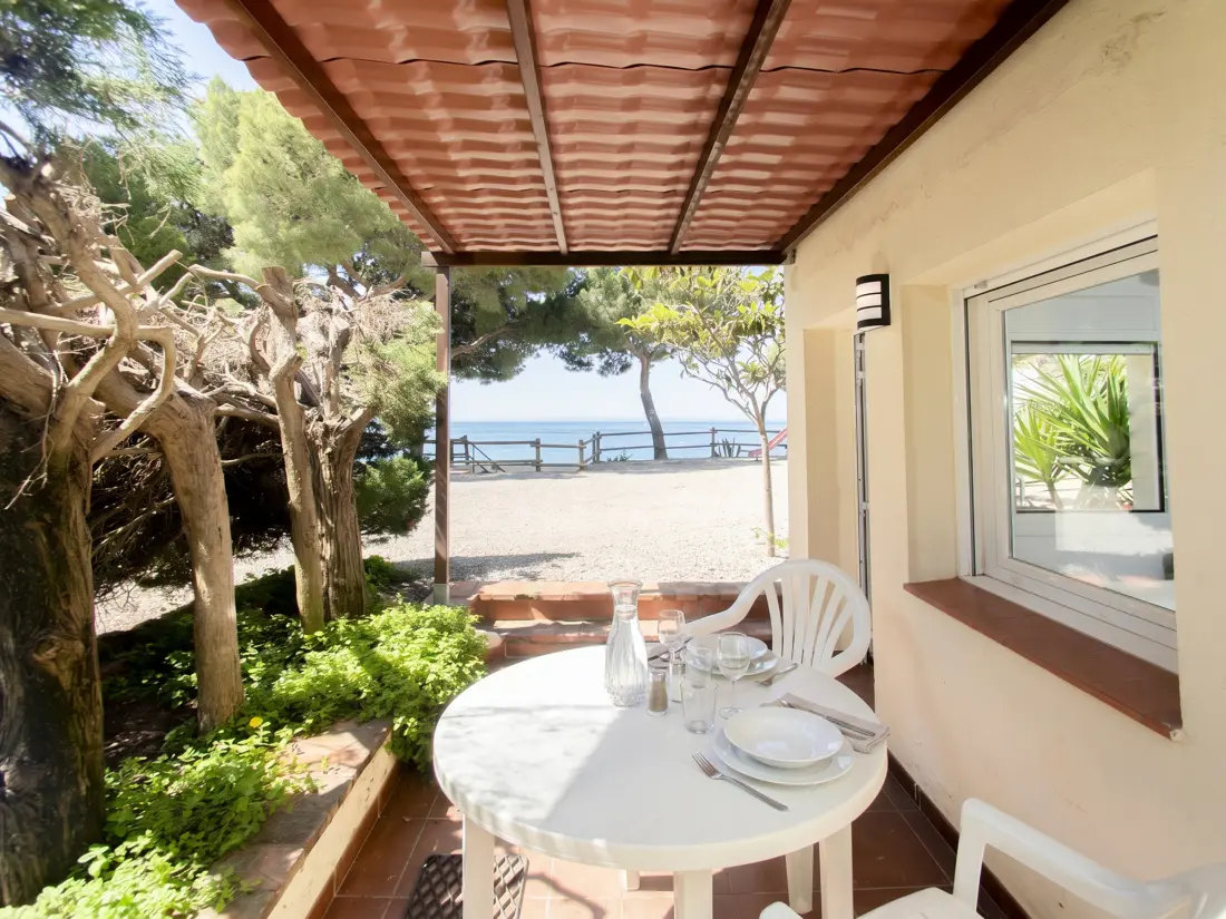 Location de Vacances Roses 1366
