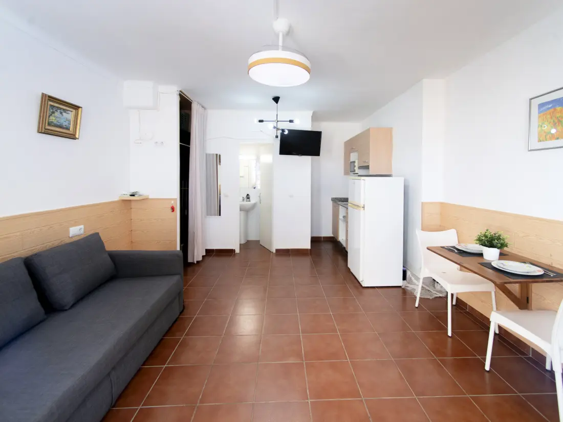 Location de Vacances Roses 1367