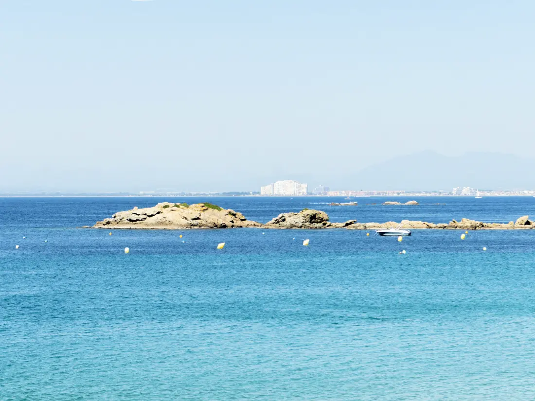 Location de Vacances Roses 1367