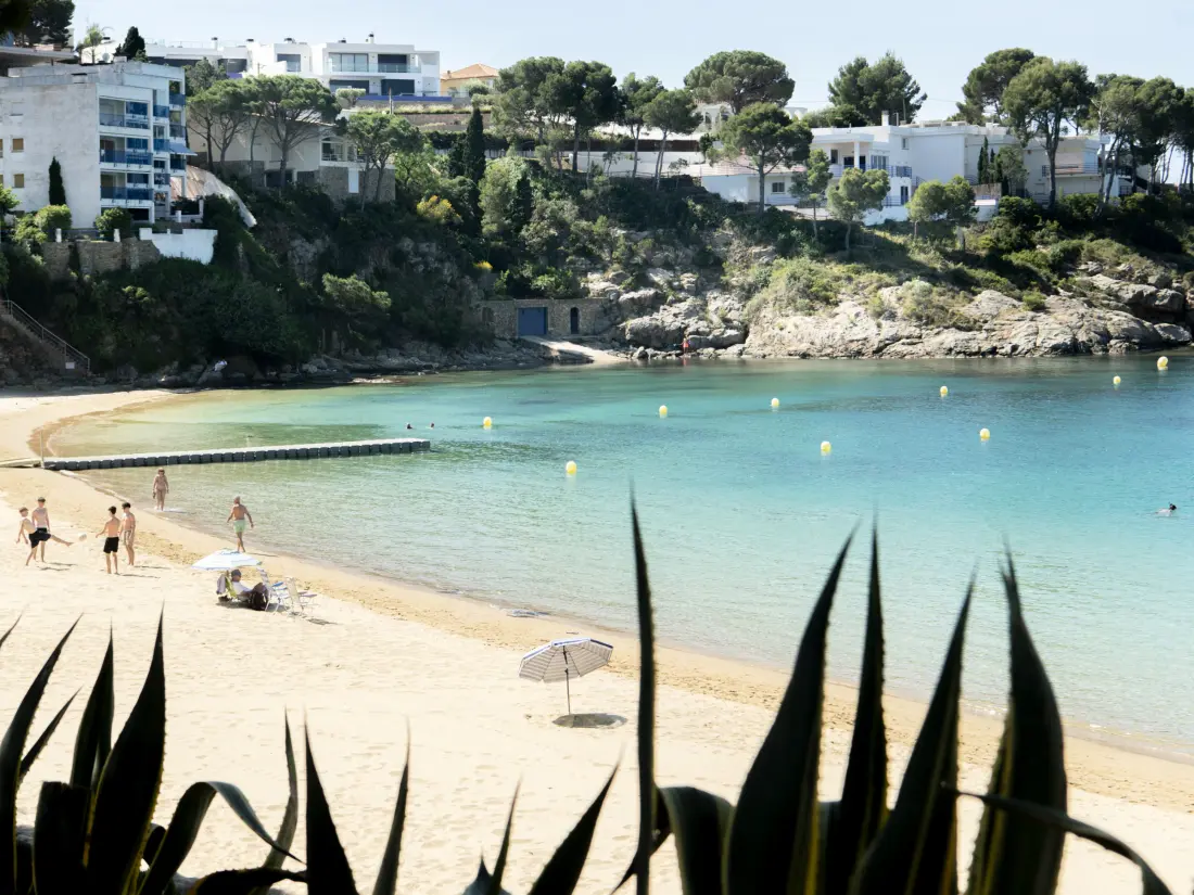 Location de Vacances Roses 1367
