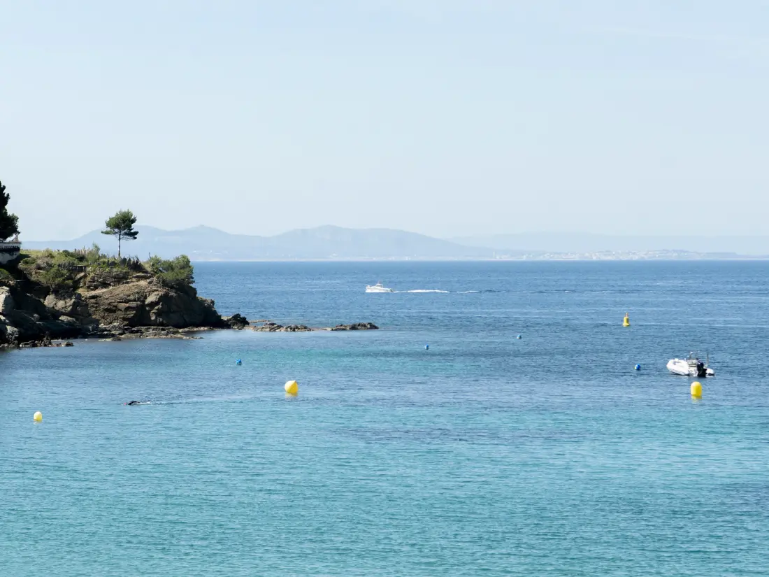 Location de Vacances Roses 1367