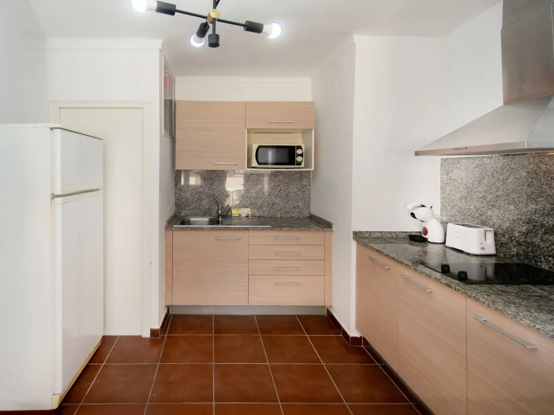 Location de Vacances Roses 1369