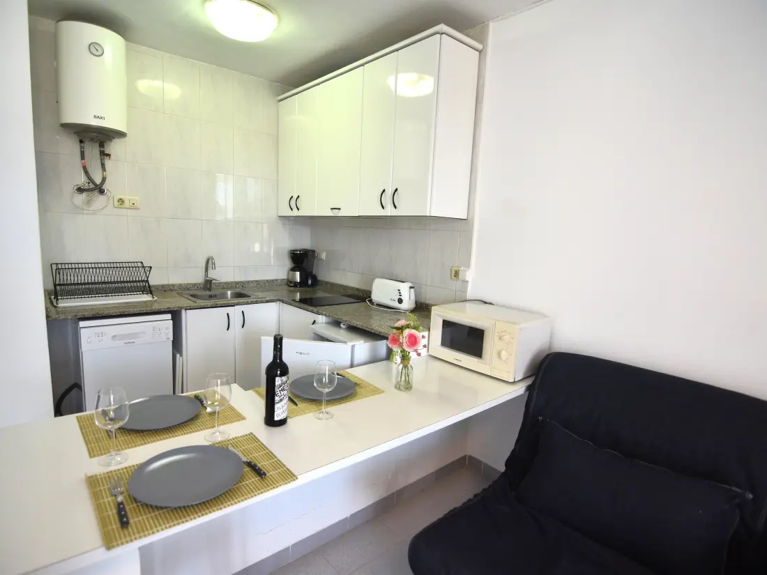 Location de Vacances Roses 1371