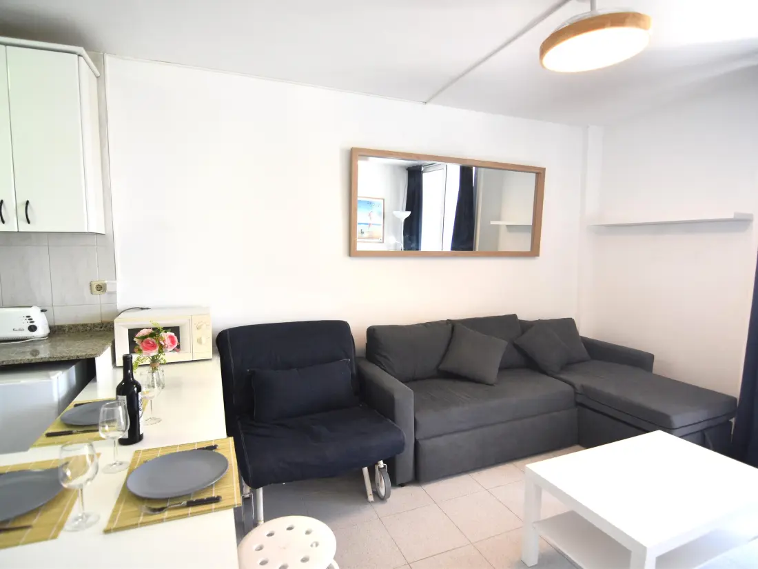 Location de Vacances Roses 1371