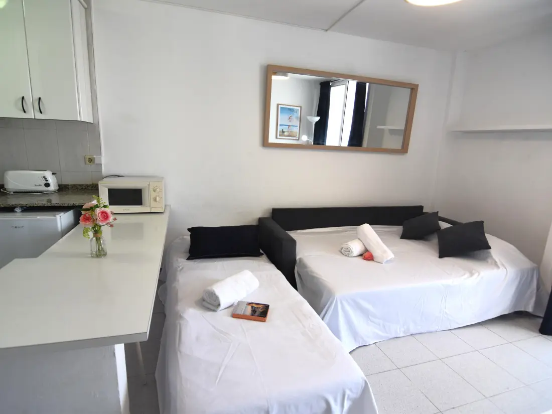 Location de Vacances Roses 1371