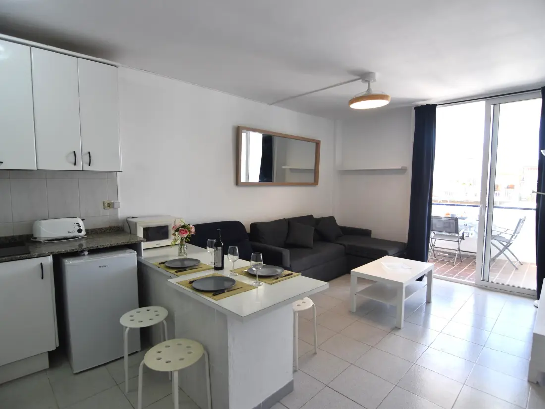 Location de Vacances Roses 1371