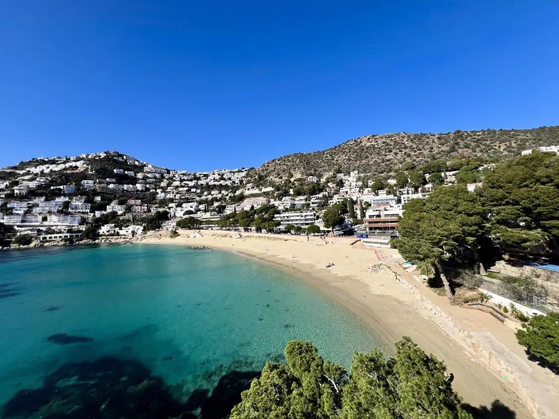 Location de Vacances Roses 1372