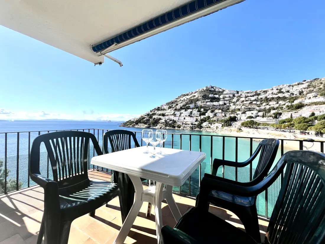 Location de Vacances Roses 1372