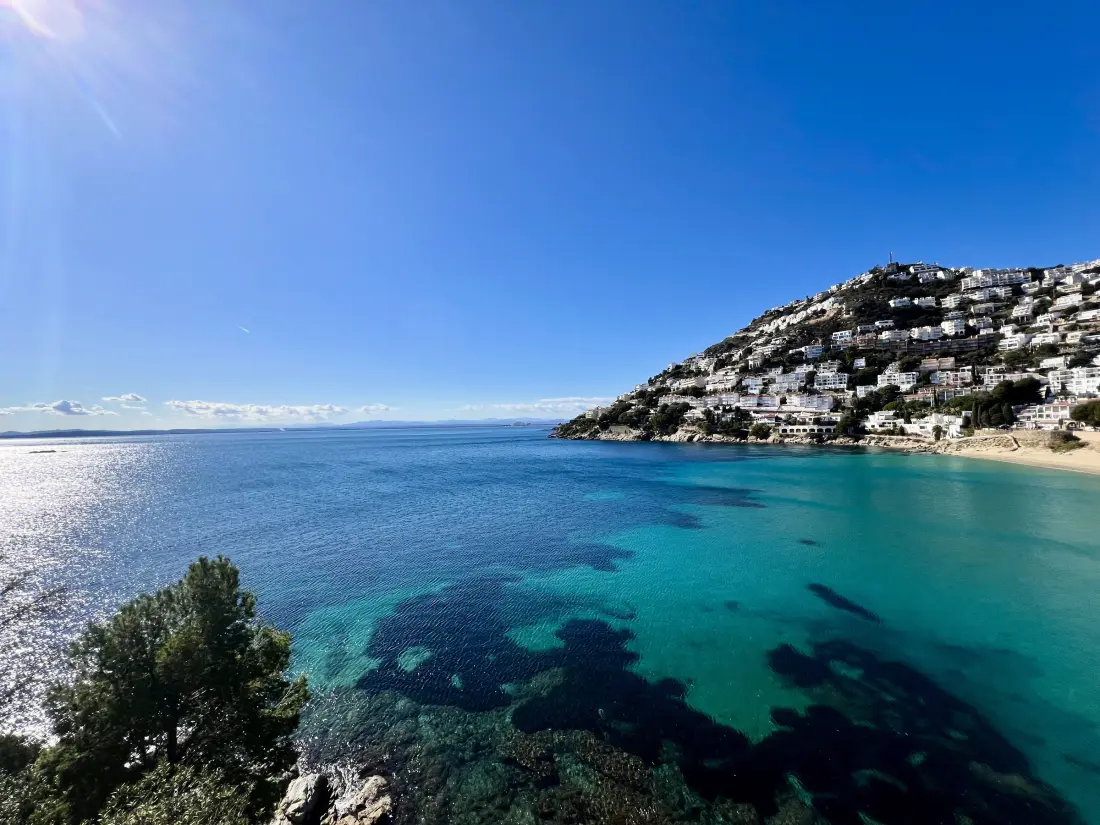 Location de Vacances Roses 1372