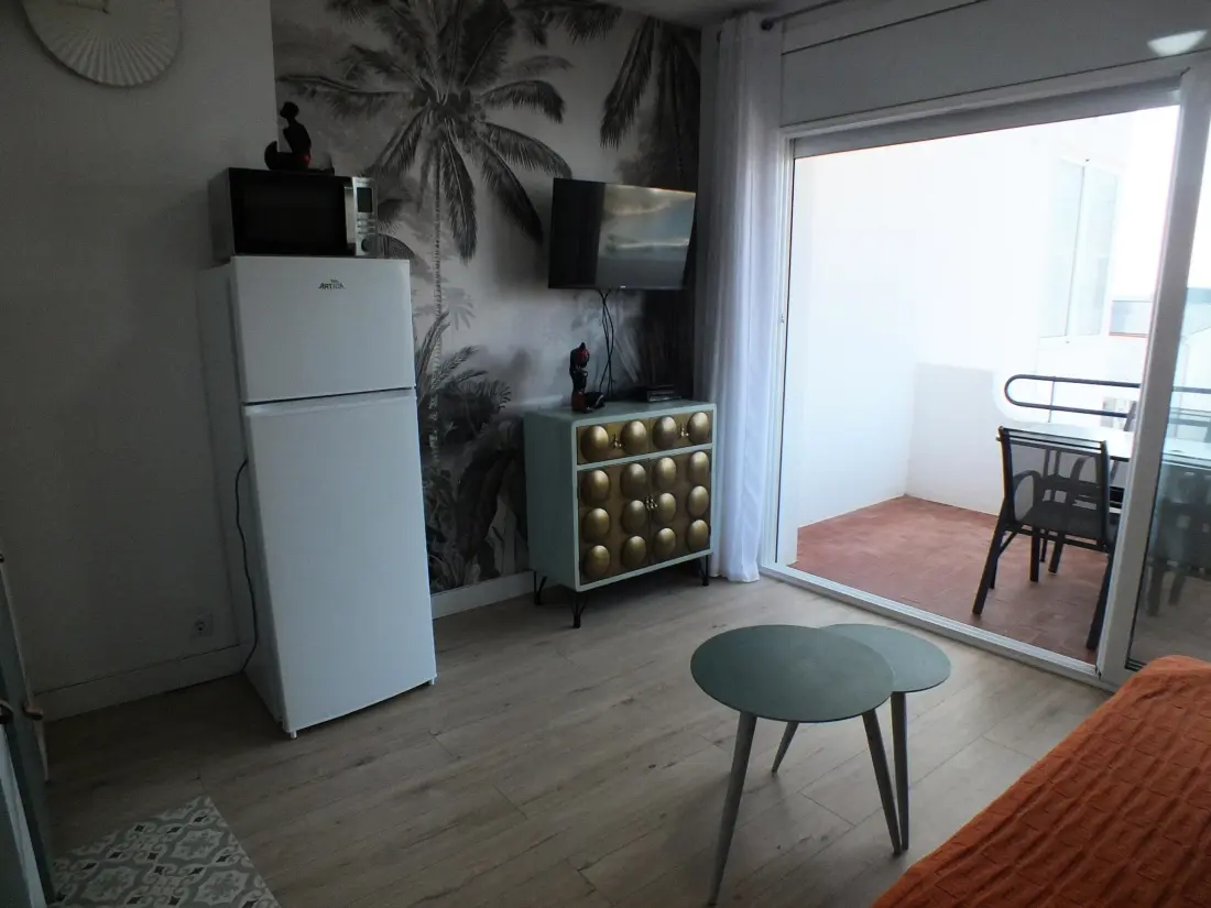 Location de Vacances Roses 1373