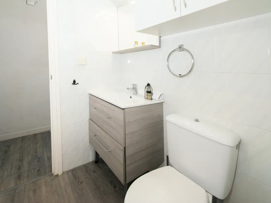 Location de Vacances Roses 1376