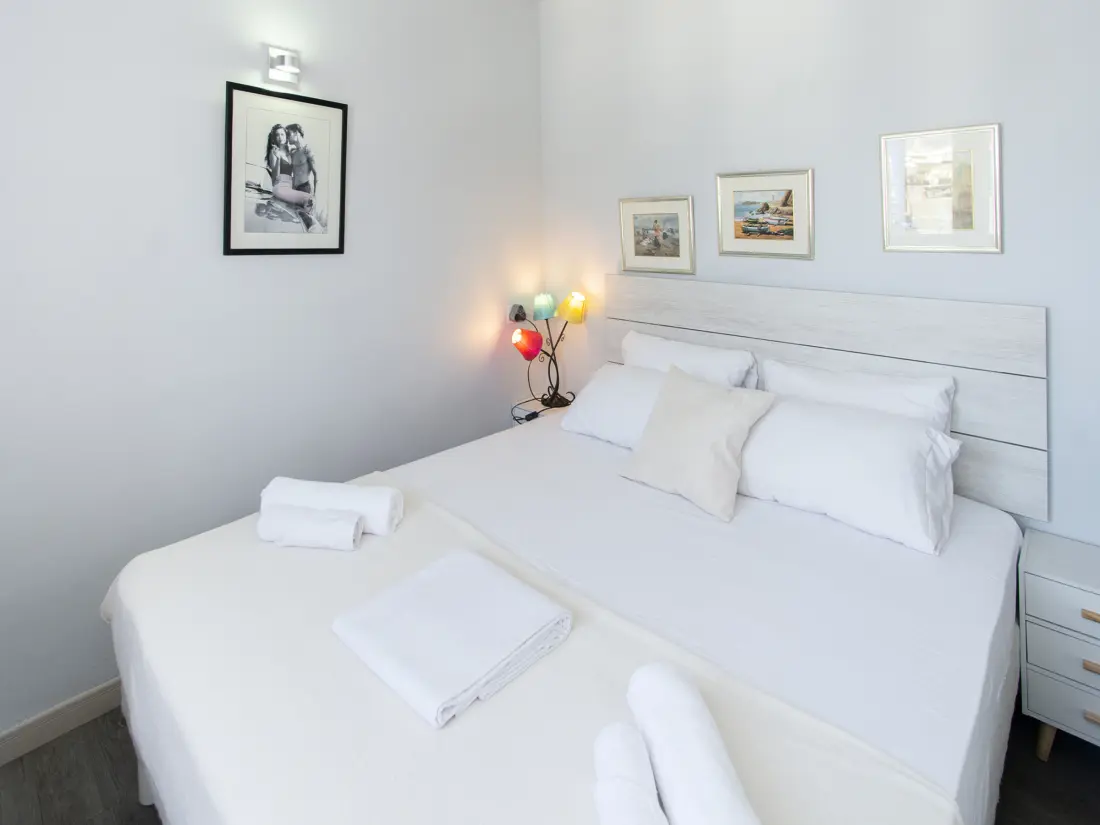 Location de Vacances Roses 1376