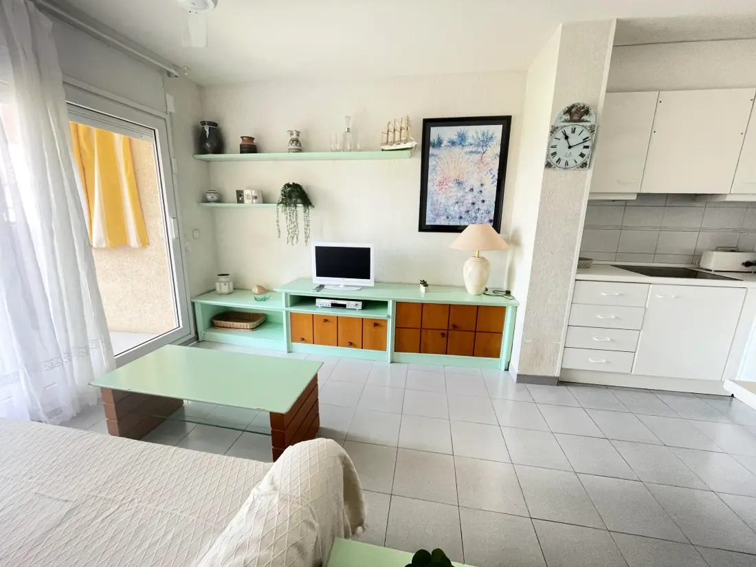 Location de Vacances Roses 1377