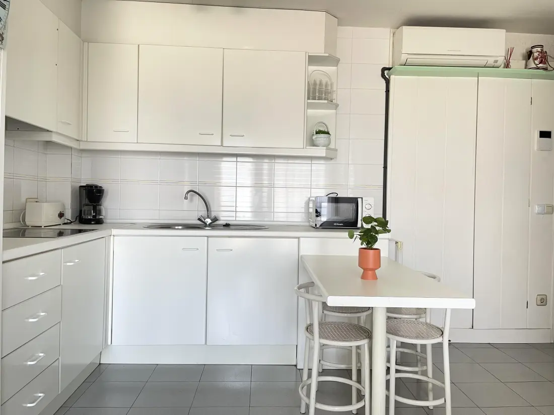 Location de Vacances Roses 1377