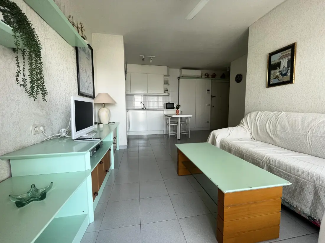 Location de Vacances Roses 1377