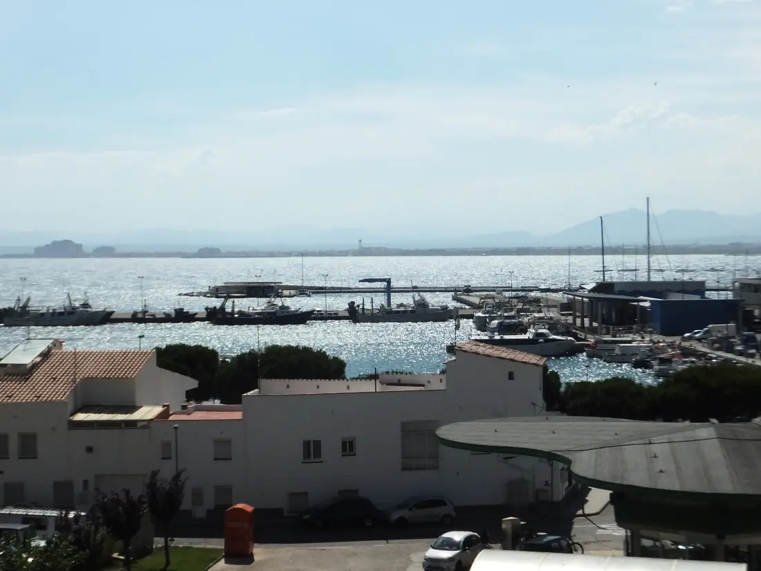 Location de Vacances Roses 1377
