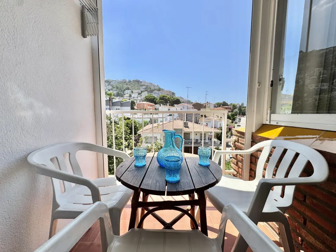 Location de Vacances Roses 1382