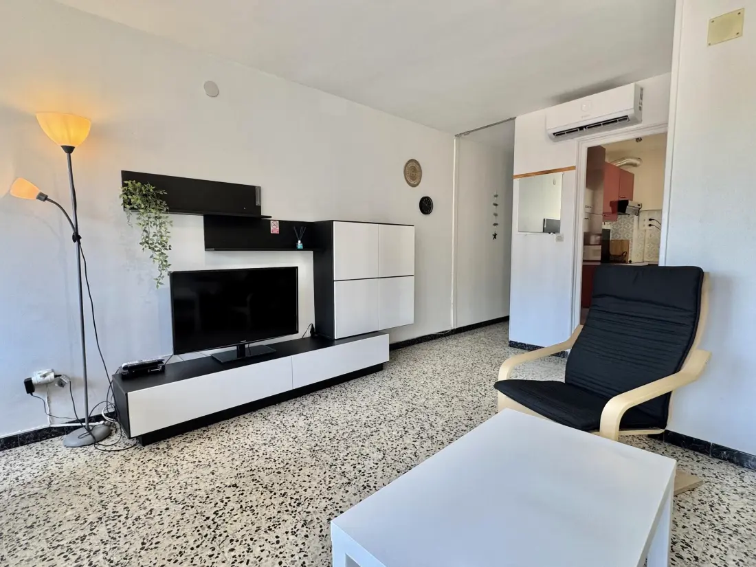 Location de Vacances Roses 1382