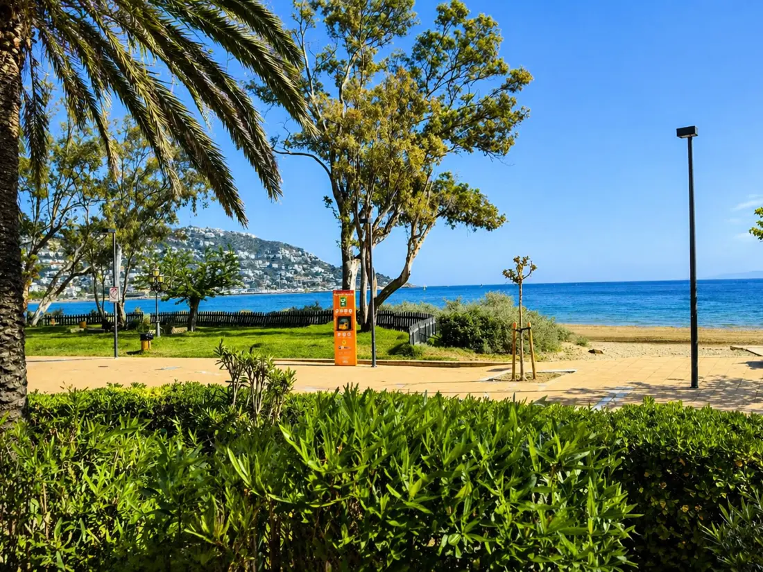 Location de Vacances Roses 1383