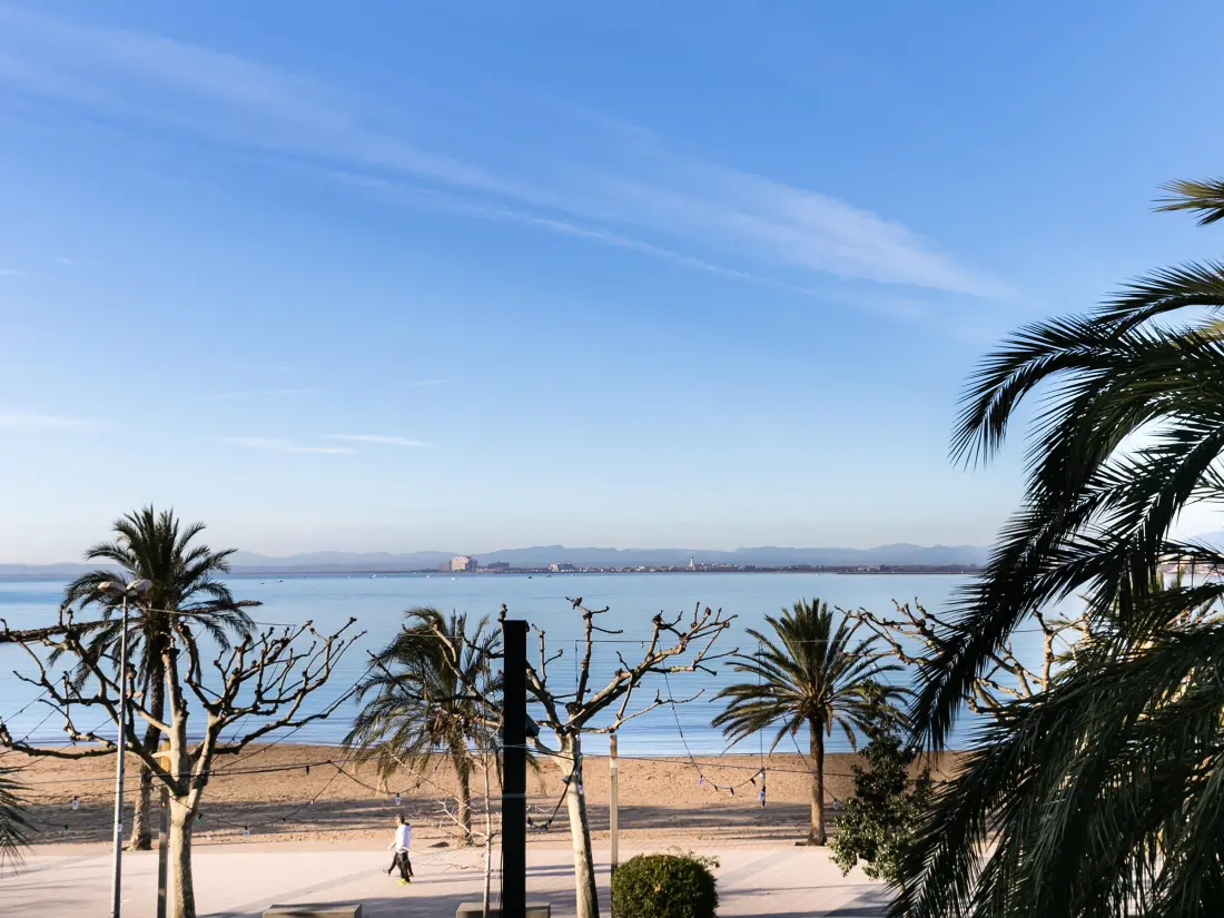 Location de Vacances Roses 154