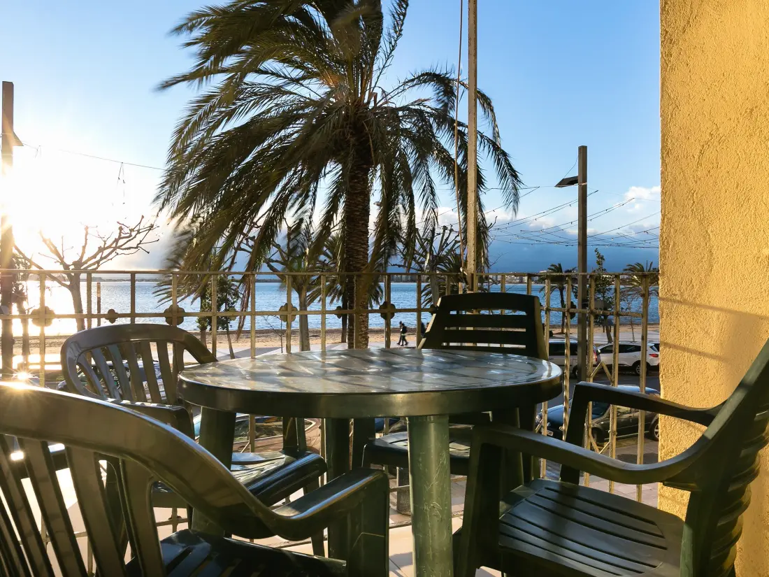 Location de Vacances Roses 159