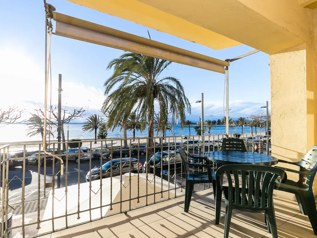 Location de Vacances Roses 159