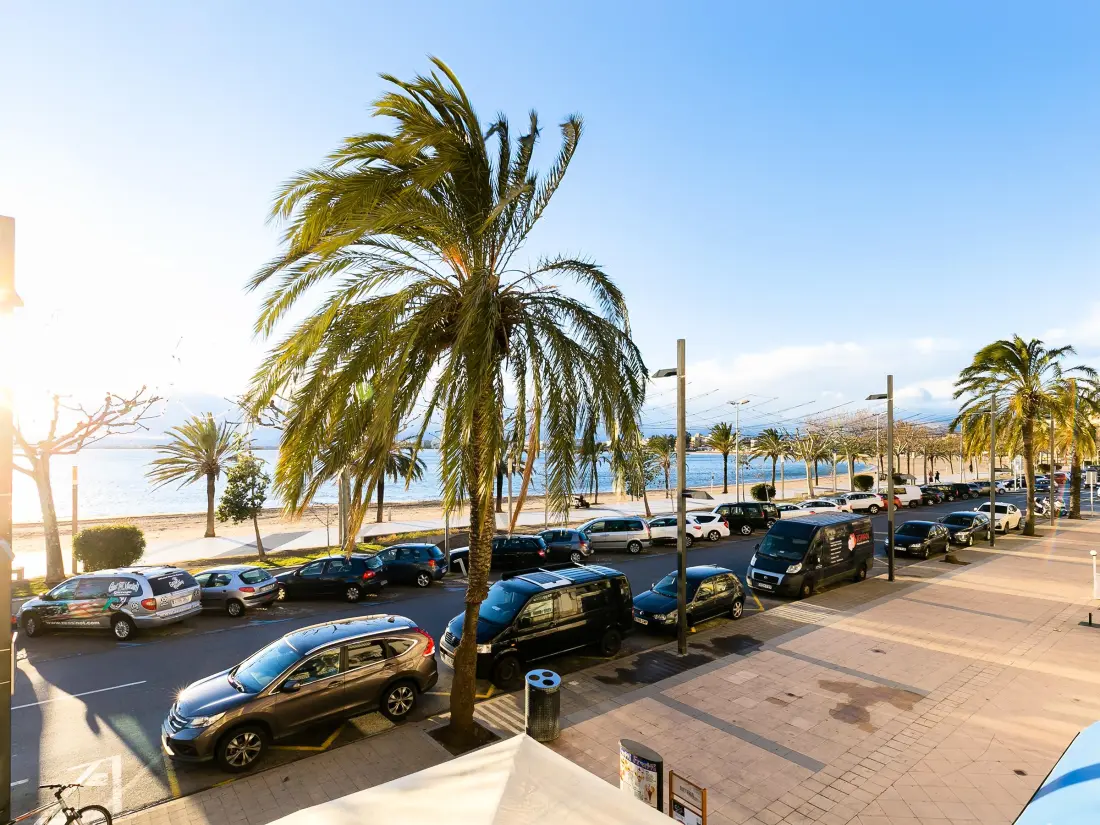 Location de Vacances Roses 159