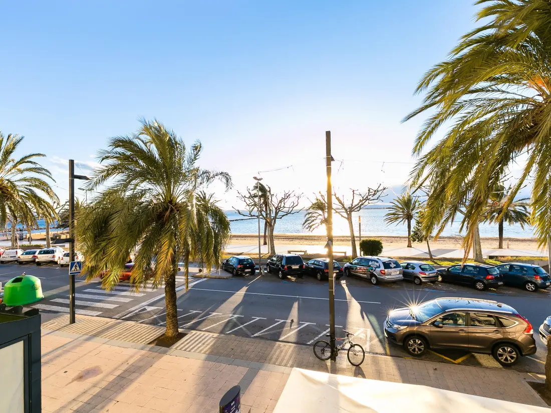 Location de Vacances Roses 159