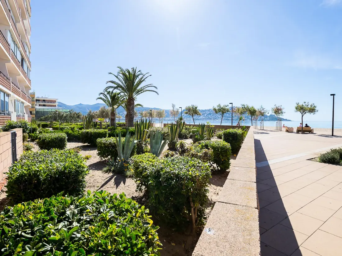 Location de Vacances Roses 172