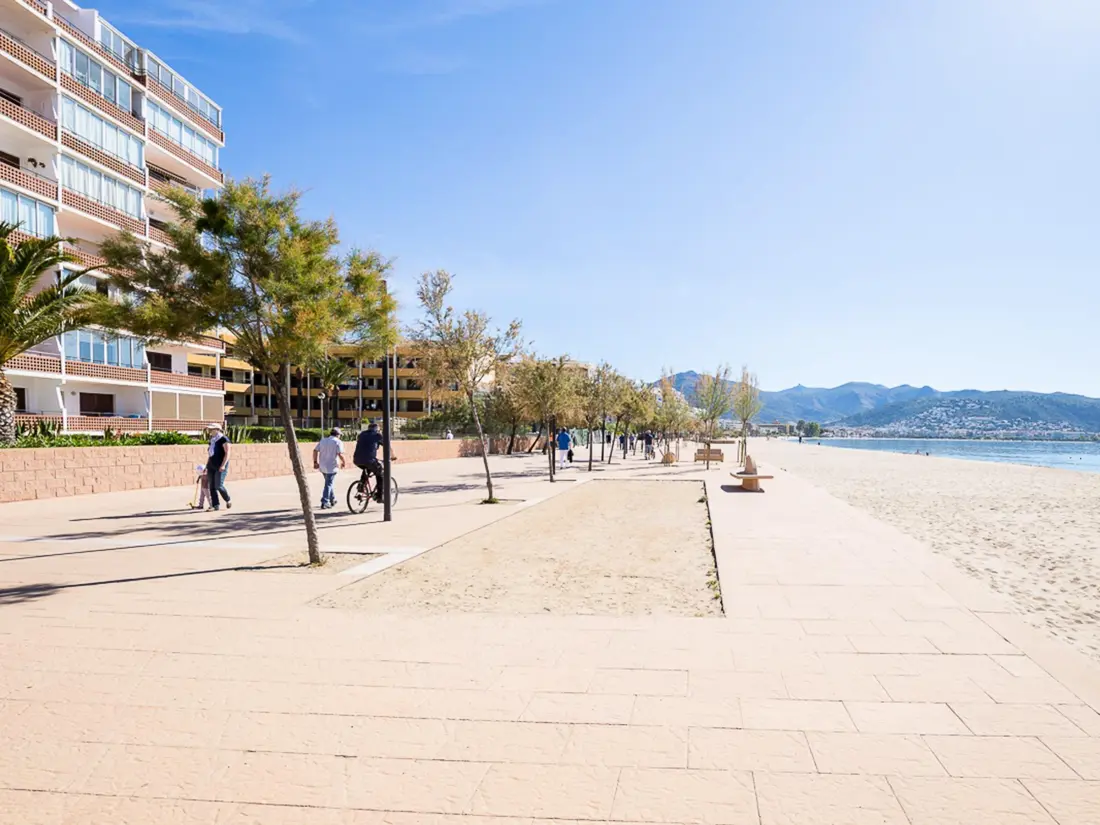 Location de Vacances Roses 172