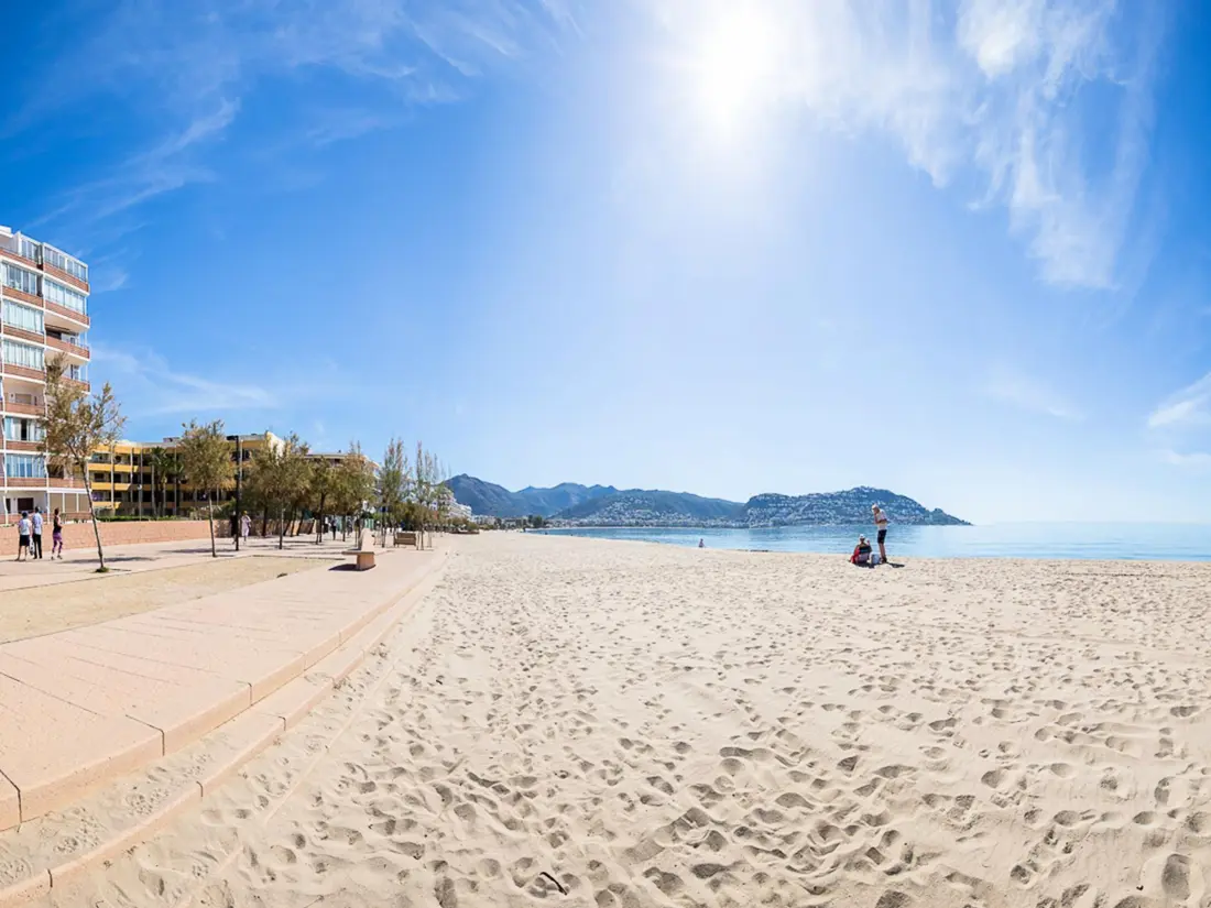 Location de Vacances Roses 172