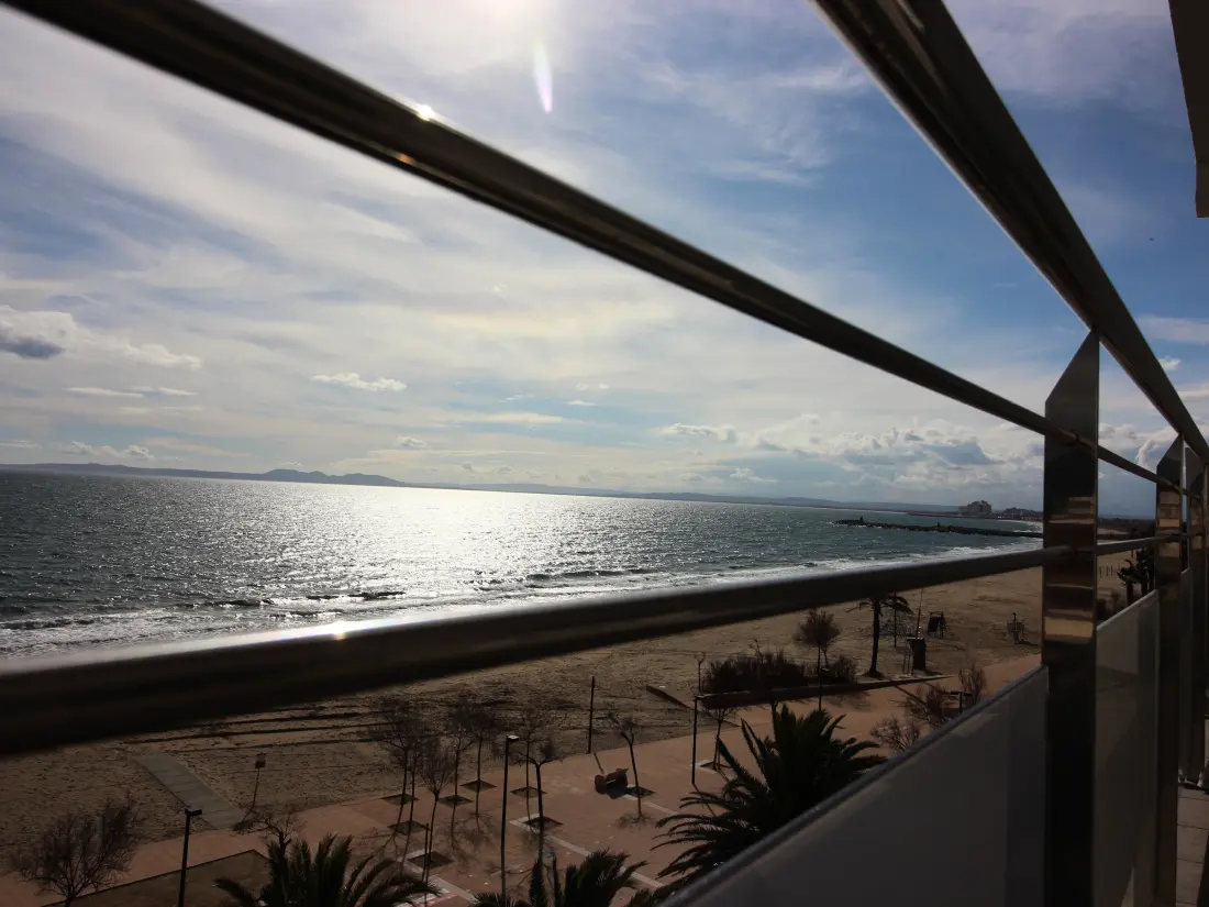 Location de Vacances Roses 172
