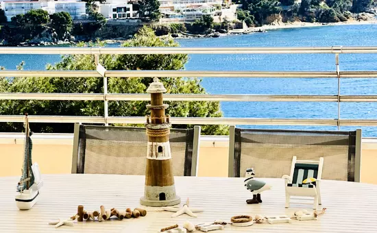 Location de Vacances Roses 188
